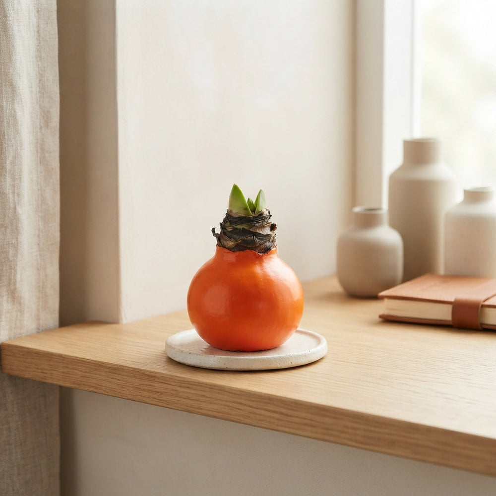 Orange Wax Flower Decoration – 20cm