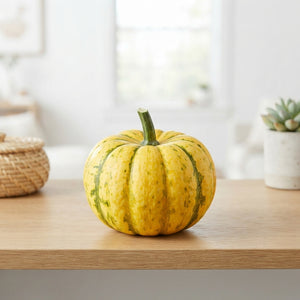 Sweet Lightning Ornamental Cucumber – Yellow Fruit