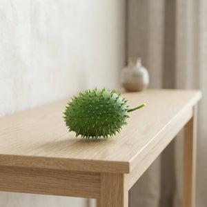 Ornamental Cucumis Fruit Plant – Green
