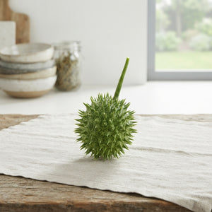 Ornamental Cucumber Fruit – Green