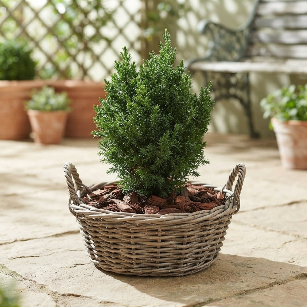 Outdoor Kubu Wicker Basket Arrangement – 35cm