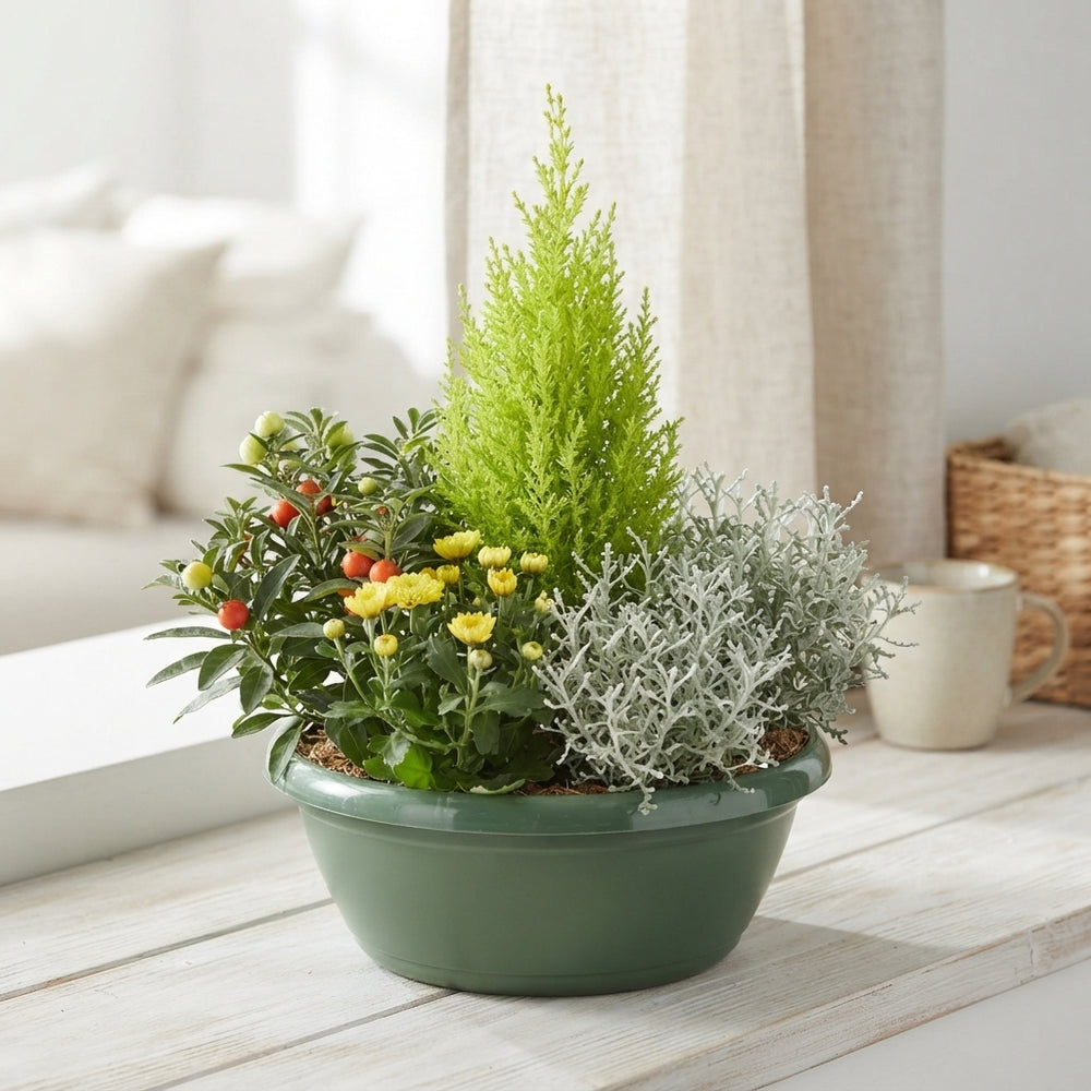 Mixed Green Plant Arrangement – 4 Plants