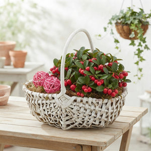 Mixed Colour Floral Arrangement – 3 Stems