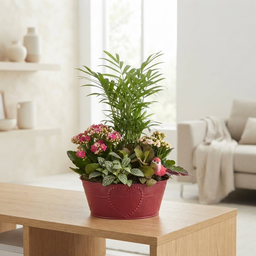 Mixed Colour Arrangement in Round Red Zinc Pot