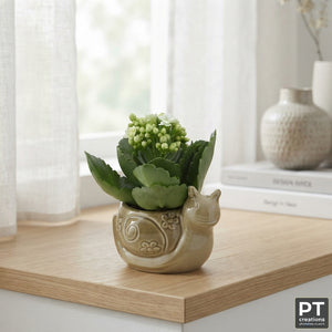 Kalanchoe Plant Arrangement in Ceramic Pot – 9cm