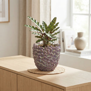 Decorative Polystone Vase – 17cm