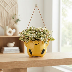 Mixed Ceramic Arrangement – 11cm Pot