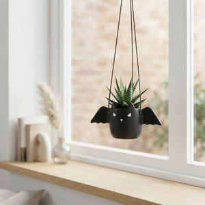 Red Mixed Succulent in Bat Pot – 11cm
