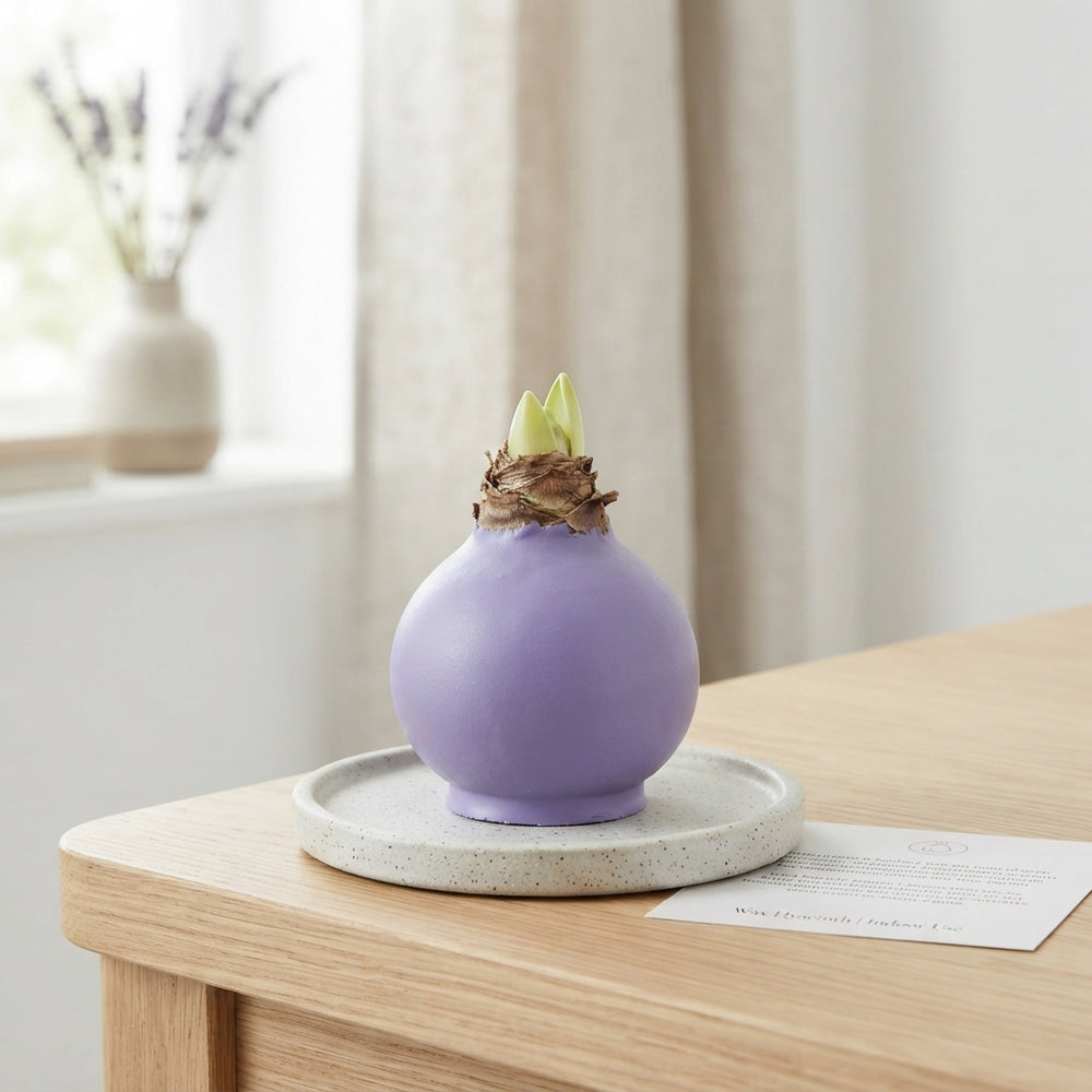 Lavender Waxed Hippeastrum Decoration – 20cm