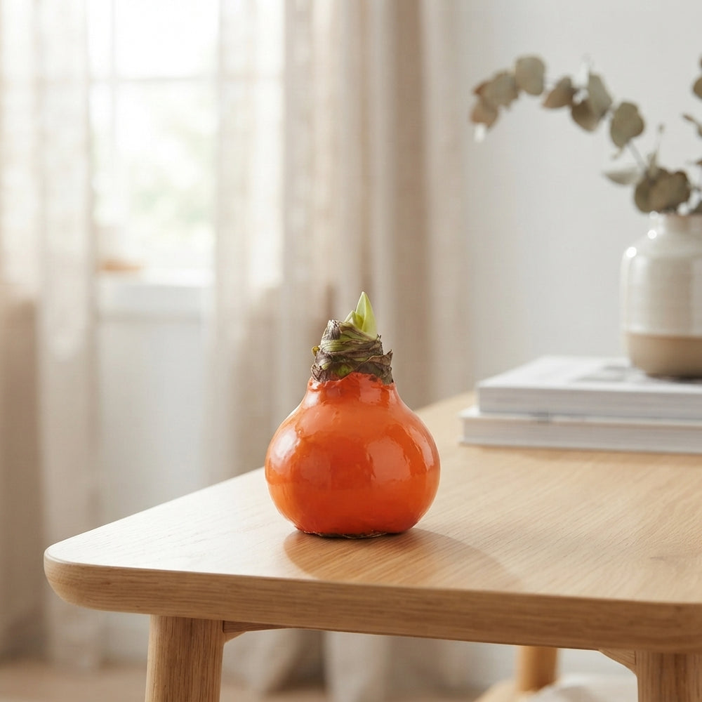 Orange Wax Flower Decoration – 20cm