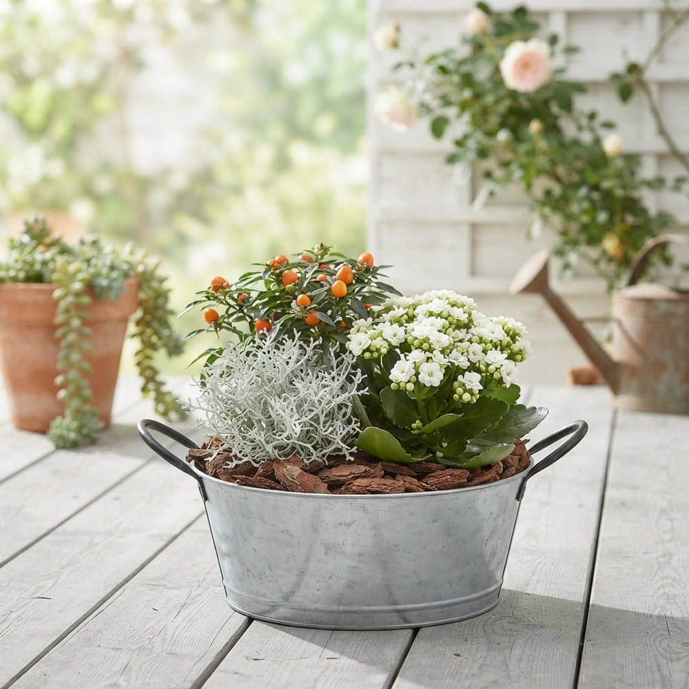 Outdoor Arrangement in Round Zinc Pot – 25cm