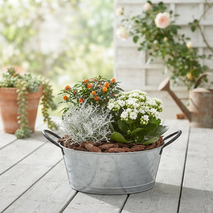 Outdoor Arrangement in Round Zinc Pot – 25cm