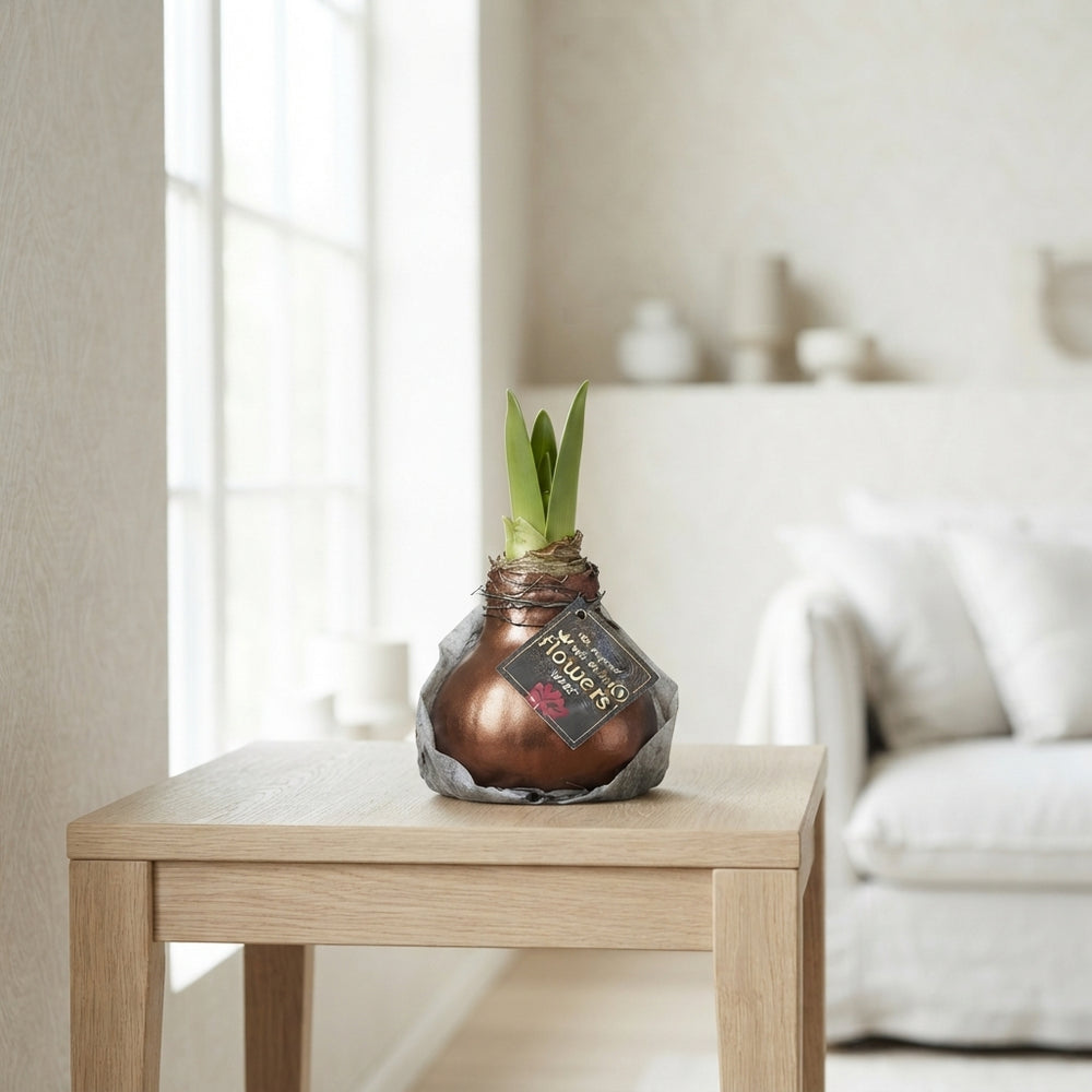 Mixed Wax Hyacinth Jupiter Arrangement – 32cm