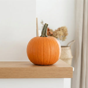 Maxima Halloween Decorative Orange Fruit
