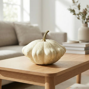 Mixed Ornamental Squash Display