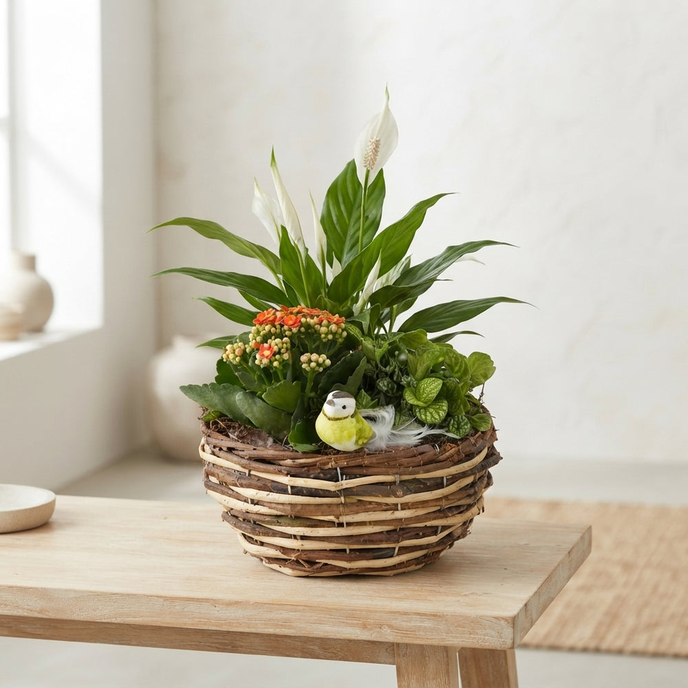 Mixed-Colour Floral Arrangement – 3 Stems