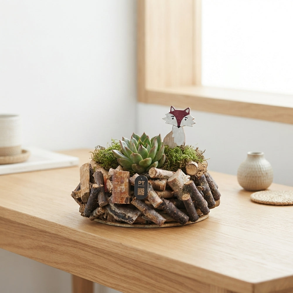 Autumn Indoor Plant Arrangement – 20cm Wooden Pot