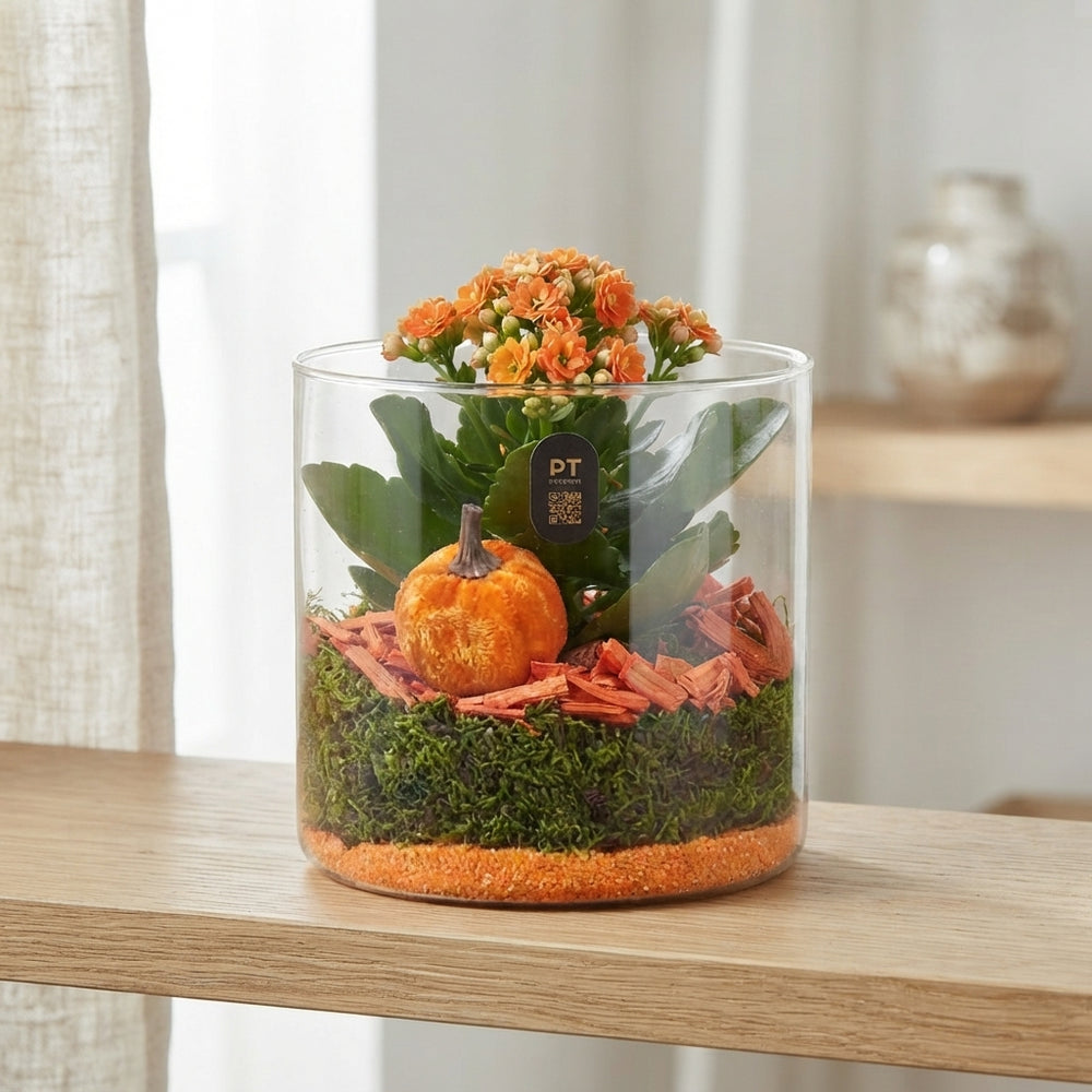 Autumn Glass Plant Arrangement – 15cm