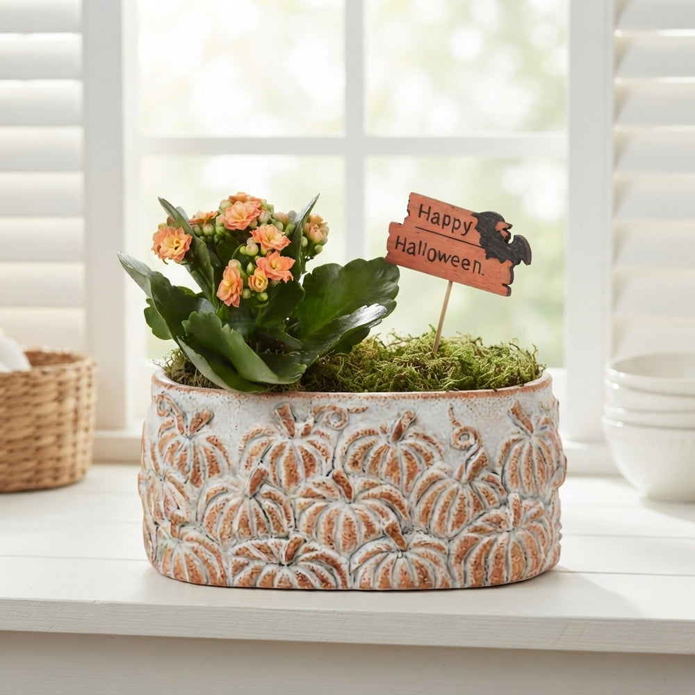 Halloween Indoor Ceramic Plant Arrangement – 20cm Pot