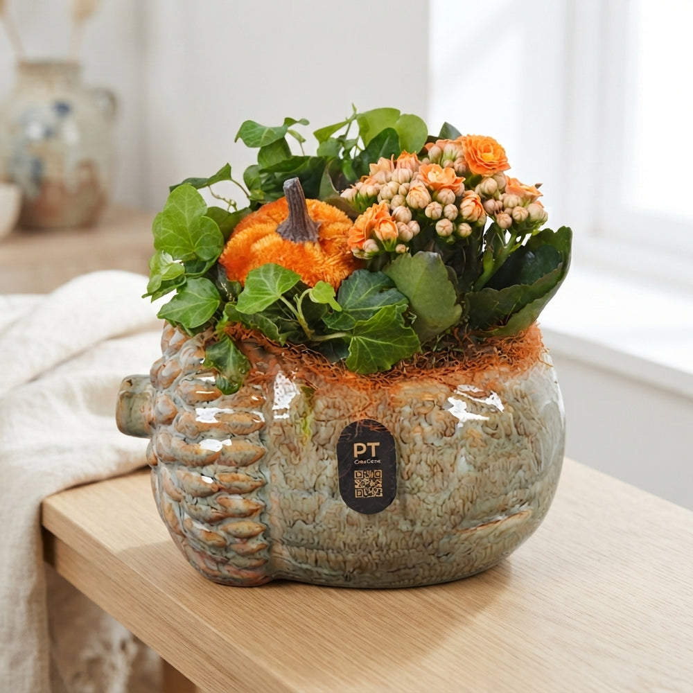 Autumn Indoor Plant Arrangement – 15cm Ceramic Pot