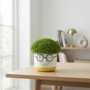 Sagina subulata Green Smile Ornament