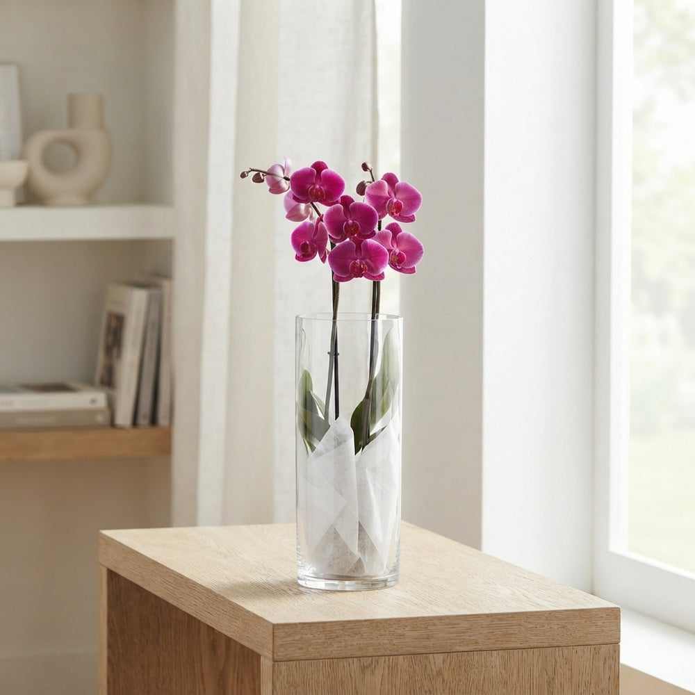Mixed Phalaenopsis Orchid – 12cm Glass Cylinder