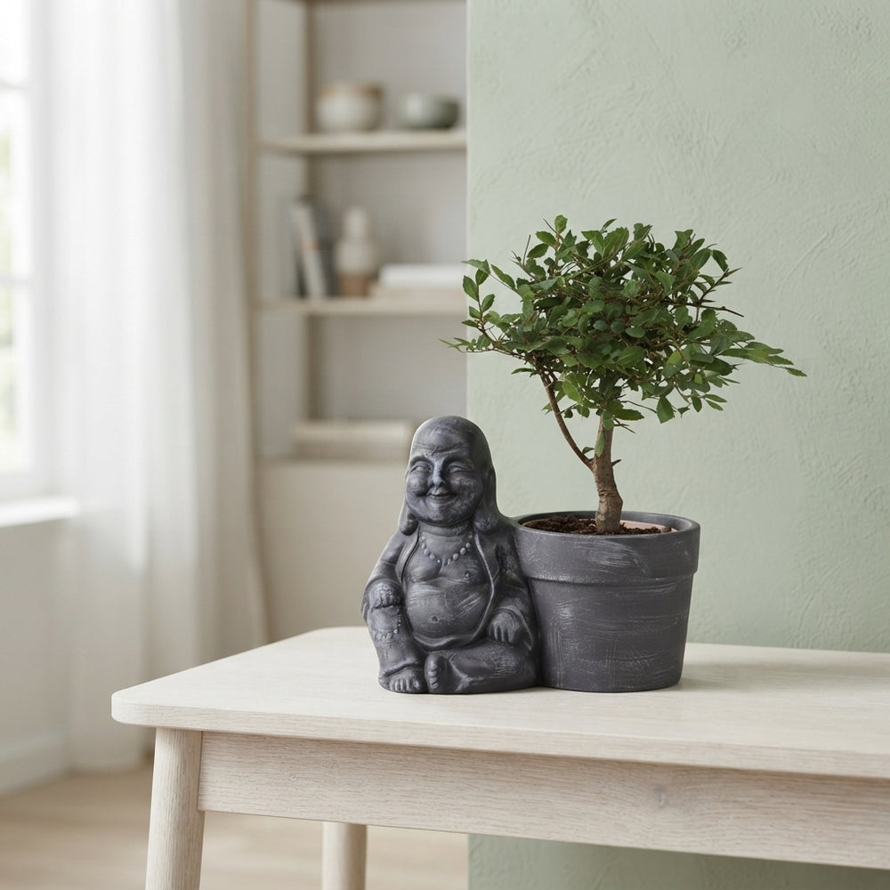 Indoor Bonsai in Ceramic Buddha Pot – 19cm