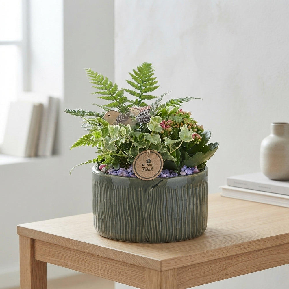 Dark Green Ceramic Plant Arrangement – 18cm Pot