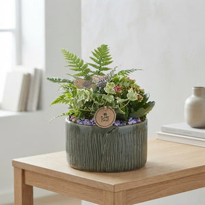 Dark Green Ceramic Plant Arrangement – 18cm Pot