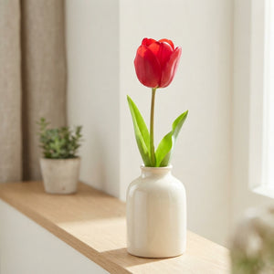 Tulipa ‘Garden Feeling Love’ Tulip Bulbs – 12cm Bulbs