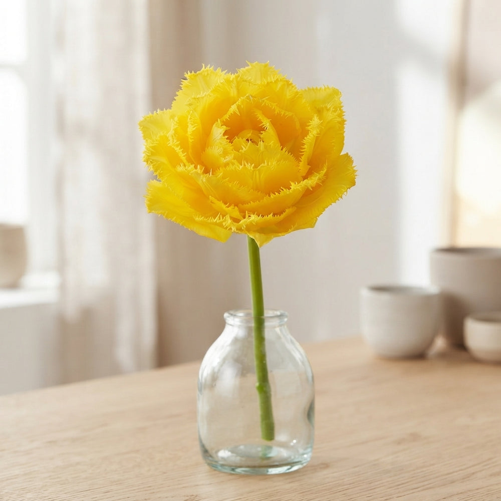 Fringed Double Tulip ‘Exotic Sun’ Bulbs – 7 Pack