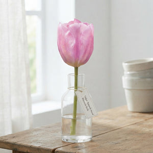 Tulipa Triumph ‘Synaeda Amor’ Flower Bulbs – 12/+