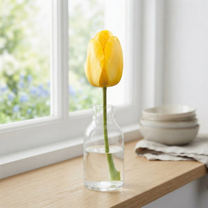 Tulip ‘Golden Parade’ Flower Bulbs – 12cm Bulbs
