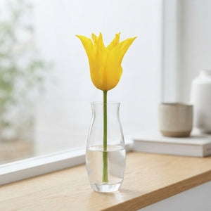 Lily-Flowered Tulip ‘Schiedam’ Bulbs – 12/+