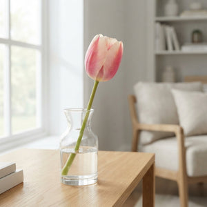Tulip ‘Apricot Delight’ Flower Bulbs – 7 Bulbs