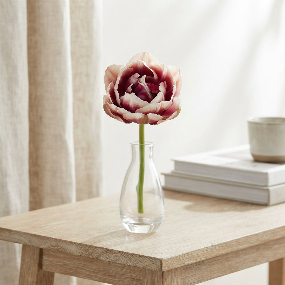 Tulipa Double Late ‘Wyndham’ Flower Bulbs – 7 Bulbs