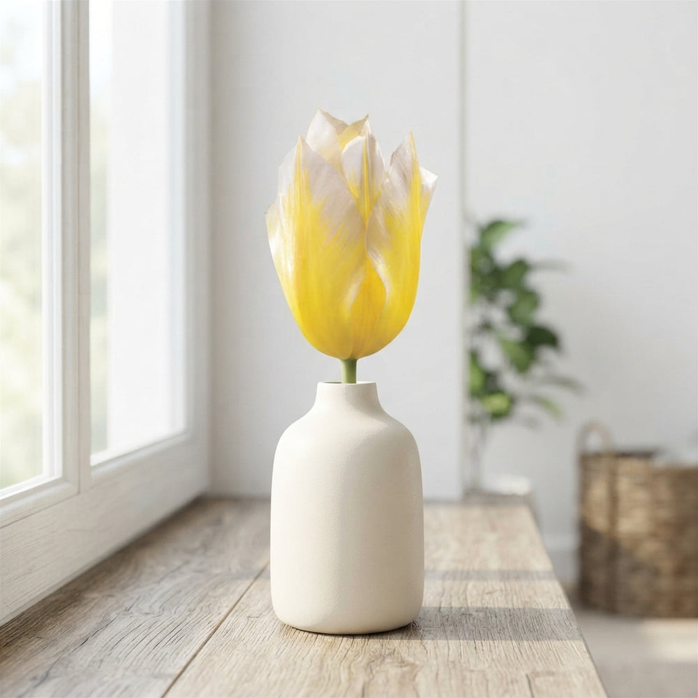 Tulipa Fosteriana ‘Sweetheart’ Tulip Bulbs – 12cm+