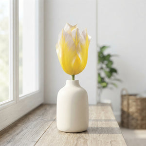 Tulipa Fosteriana ‘Sweetheart’ Tulip Bulbs – 12cm+