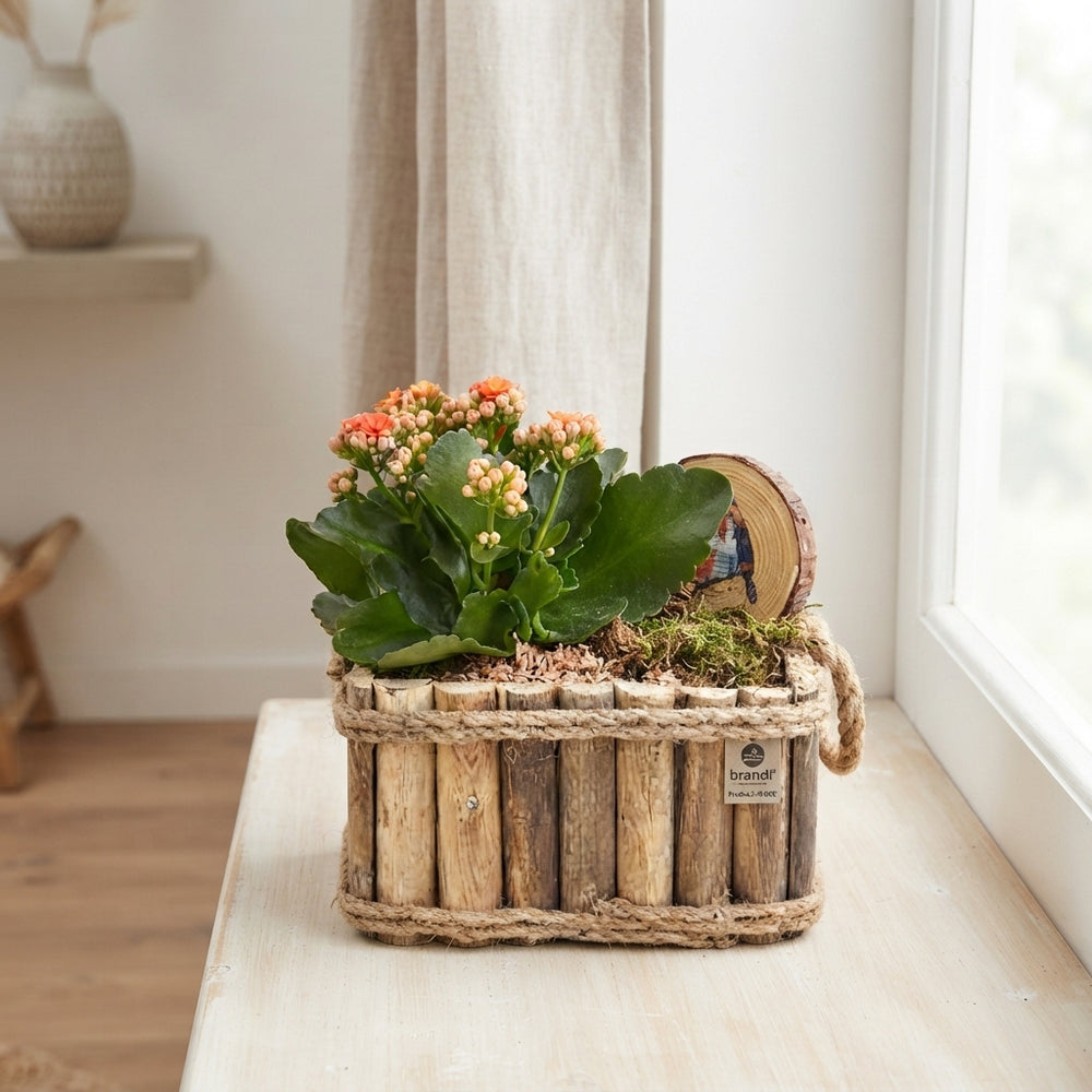 Mixed Colour Arrangement in Wooden Cube with Twine