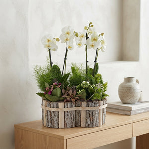 Round Beechwood Mixed-Colour Arrangement