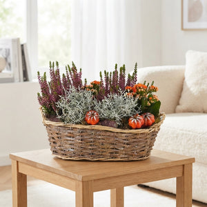 Mixed Oval Floral Arrangement