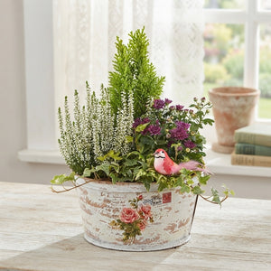 Large Mixed-Colour Rose Arrangement