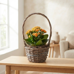 Mixed Hanging Basket Arrangement – Brown Basket