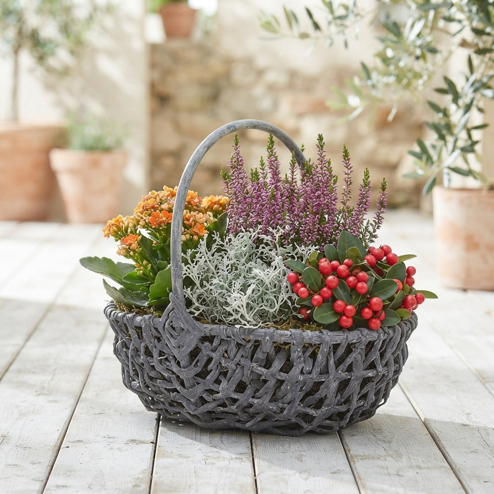 XXL Grey Harvest Basket Arrangement – Mixed Colours