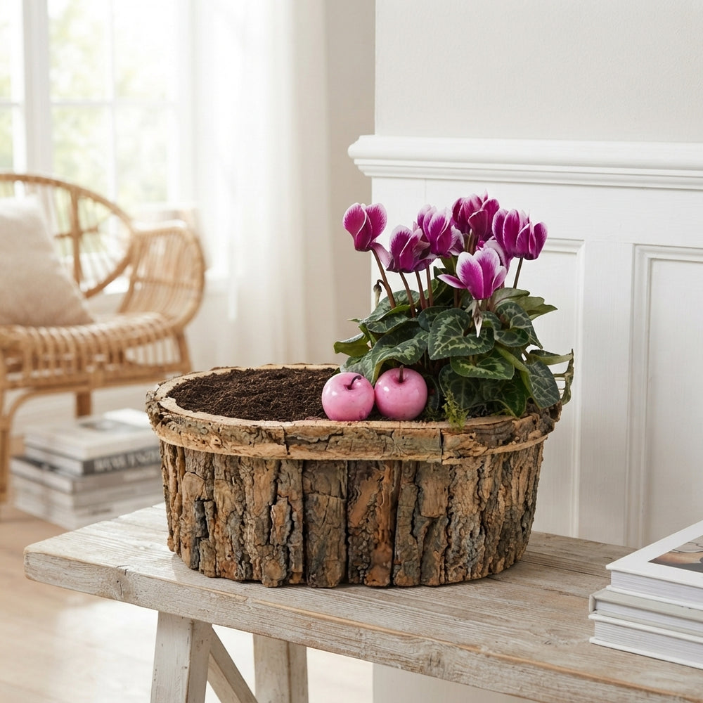Mixed Colour Oval Bark Arrangement