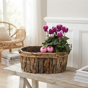 Mixed Colour Oval Bark Arrangement