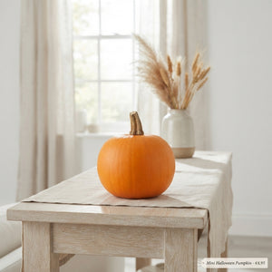 Halloween Decorative Pumpkin – Orange