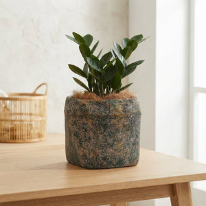 Handmade Wicker Plant Pot – 20cm