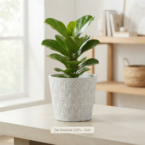 Decorative Ceramic Plant Pot – 13cm
