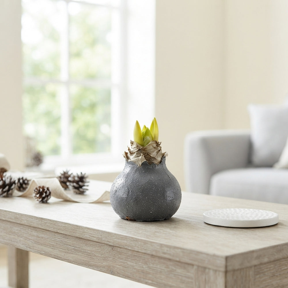 Grey Wax Hipp Gl Titaan Decorative Arrangement – 20cm